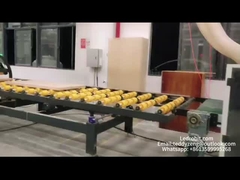 Automatische stalen rollenconveyor industriële houten platen laad- en losmachine