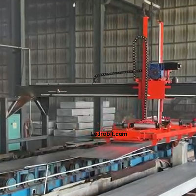 Automatische vloerpalletmachine geautomatiseerde palletiser Custom Conveying