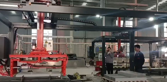 Aanpasbare meerdere voorwerpen palletiserende machine verpakkingsmachine met eindgrepen